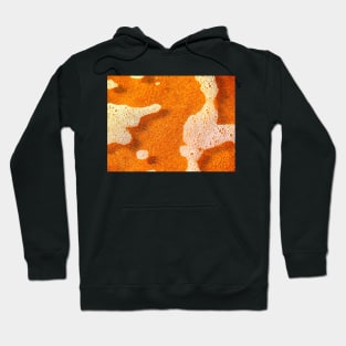 beach foam Hoodie